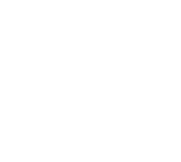 University Partners
